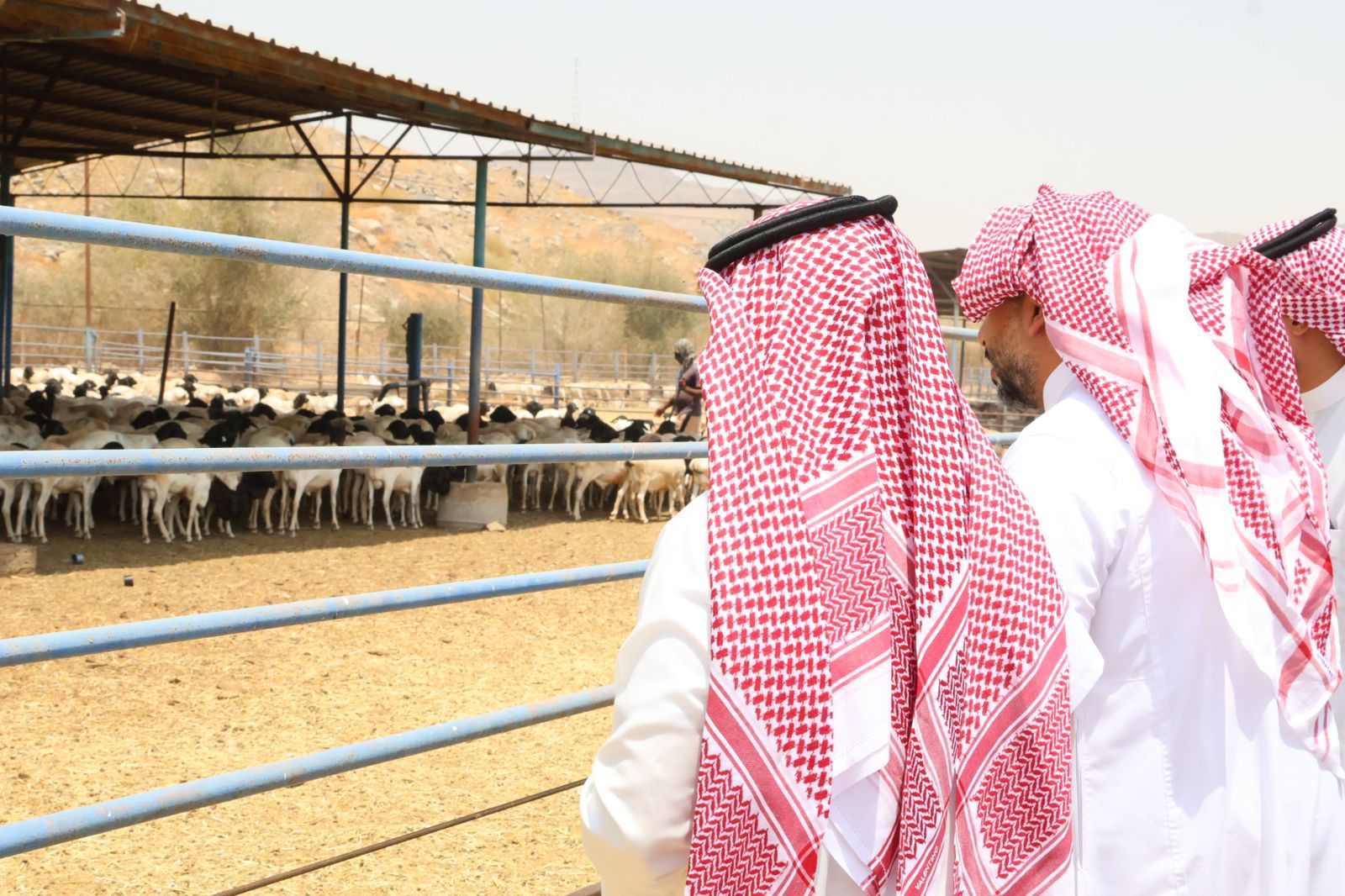 الرئيس التنفيذي لمركز وقاء يقف على جاهزية الاستعدادات لموسم الحج بمكة المكرمة