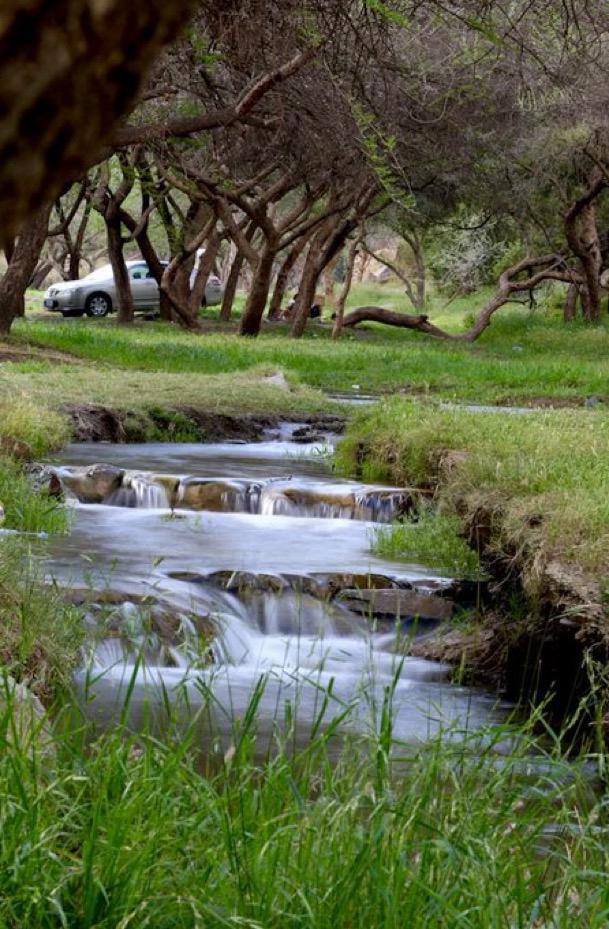 وادي ضرك.. لوحة طبيعية ساحرة تجذب الزوار في محافظة المندق