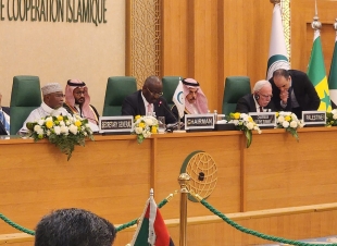 الأمين العام يدعو لزيادة تمويل 